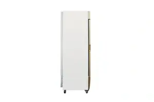 Tủ Đông Đứng Alaska IFG-350 350 lít Không Đóng Tuyết​