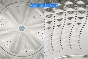 Máy giặt Samsung Inverter 9.5 kg WA95CG4545BDSV