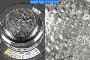 Máy sấy bơm nhiệt LG Inverter 10.5 kg DVHP50B