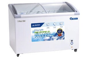 Tủ đông Hòa Phát Inverter 451 lít HSF-AD8451.C1