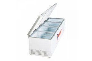 Tủ đông Sanaky VH-2399HY