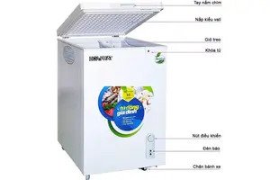 Tủ Đông Hòa Phát 100 Lít HCF 106S1N