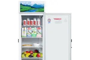 Tủ mát Sanaky 250 Lít VH-2589K dàn đồng