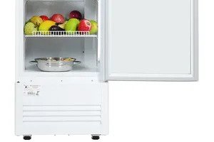 Tủ mát Sanaky 250 Lít VH-2589K dàn đồng