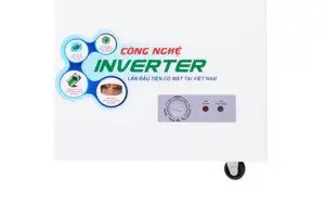 Tủ đông Inverter Sanaky VH-4099A3 400 lít đông suốt