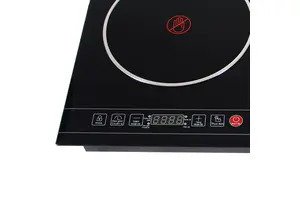 Bếp hồng ngoại Sanaky SNK-202HGW