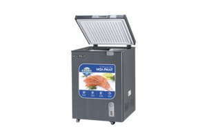 Tủ đông Hòa Phát 107 lít HPF AD6107G