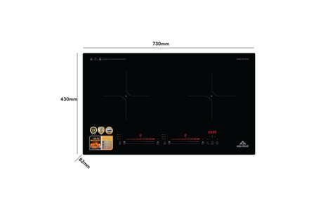 Bếp điện từ đôi Hòa Phát HPC D21A2