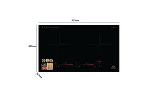 Bếp điện từ đôi Hòa Phát HPC D21A2