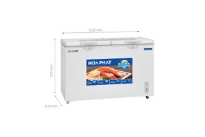 Tủ đông Hòa Phát Inverter 205 Lít HPF BD8205
