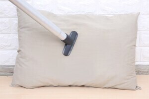 Máy hút bụi dạng hộp Electrolux EC41-2DB