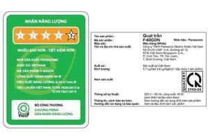 Quạt trần Panasonic 5 cánh F-60GDN-S 40W