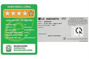 Smart Tivi QNED LG 4K 65 inch 65QNED80TSA