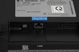 Smart Tivi QNED LG 4K 65 inch 65QNED80TSA