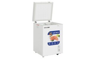 Tủ đông Hòa Phát 107 Lít HPF AD6107