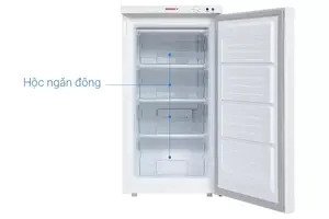Tủ đông đứng Sanaky 118 lít VH-160VD