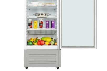 Tủ mát Hoà Phát 280 lít HSR S6280