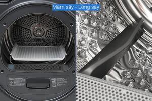 Máy sấy bơm nhiệt Toshiba 10 kg TD-T25BS110HWV(MG)