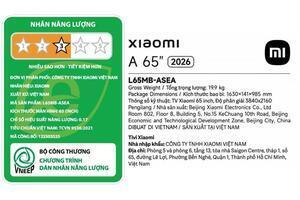 Google Tivi Xiaomi A 4K 65 inch L65MB-ASEA 2026