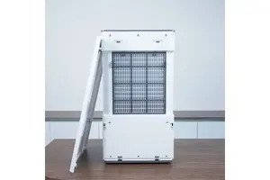 Máy hút ẩm Sharp DW-T30HV-W