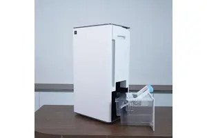 Máy hút ẩm Sharp DW-T30HV-W