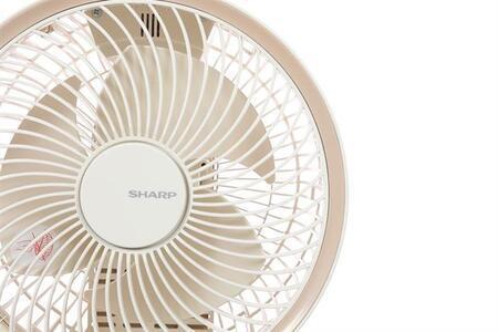 Quạt tuần hoàn Sharp 3 cánh PJ-CD603V-C 24W