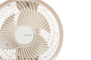 Quạt tuần hoàn Sharp 3 cánh PJ-CD603V-C 24W