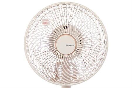 Quạt tuần hoàn Sharp 3 cánh PJ-CD114V-C 36W