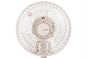 Quạt tuần hoàn Sharp 3 cánh PJ-CD114V-C 36W