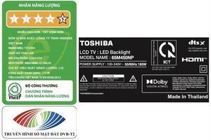 Smart Tivi Toshiba 4K 65 Inch 65M450NP