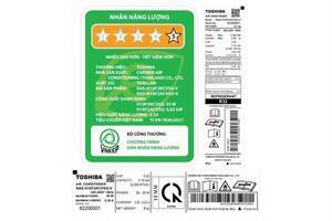 Máy lạnh Toshiba Inverter 1 HP RAS-H10F2KCVSG-V