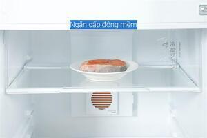 Tủ lạnh Toshiba Inverter 271 lít GR-RT349WE-PMV(68)