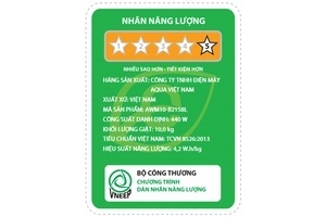 Máy giặt Aqua Inverter 10 kg AWM10-B2158L(B)