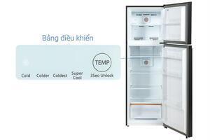 Tủ lạnh Toshiba Inverter 271 lít GR-RT349WE-PMV(68)