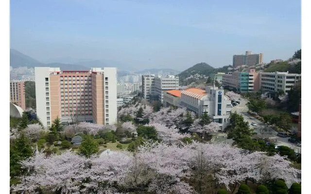 Đại học Dongeui Hàn Quốc – 동의대학교