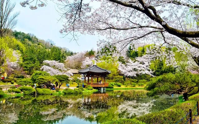 [LSQ Hàn Quốc] Thủ tục xin visa du học Hàn Quốc 2020 tại TP. Hồ Chí Minh