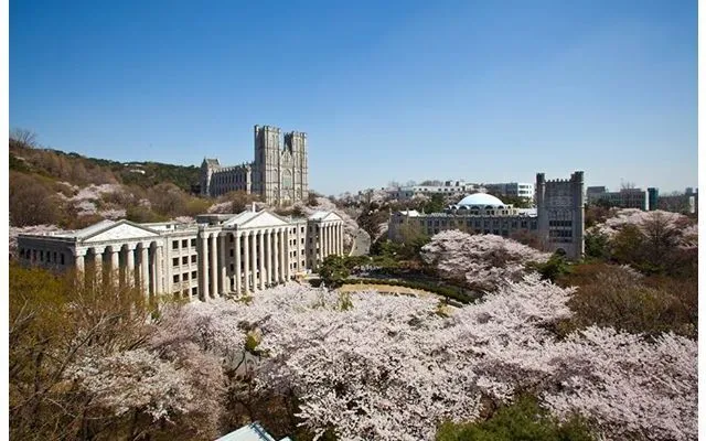 Trường đại học Kyung Hee Hàn Quốc 경희대학교
