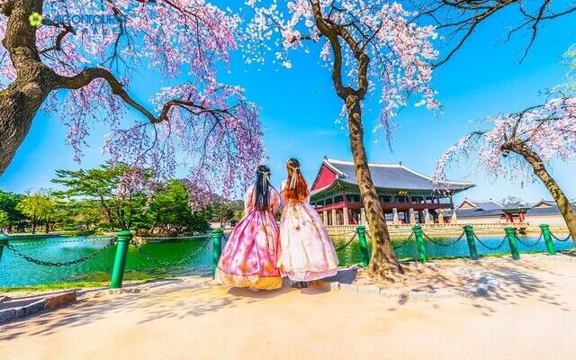 Hướng dẫn hỗ trợ xin lại visa du học Hàn Quốc tránh dịch Covid-19