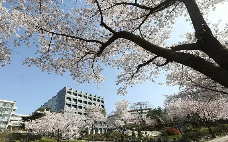 tại sao nên chọn ngành truyền thông khi đi du học hàn quốc?