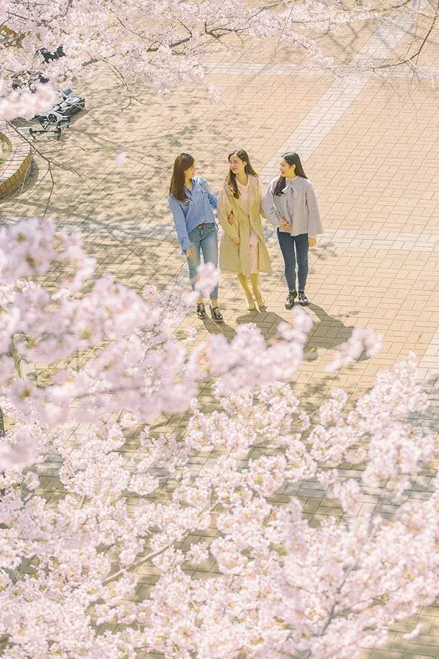 trường đại học kyungsung hàn quốc (경성대학교)