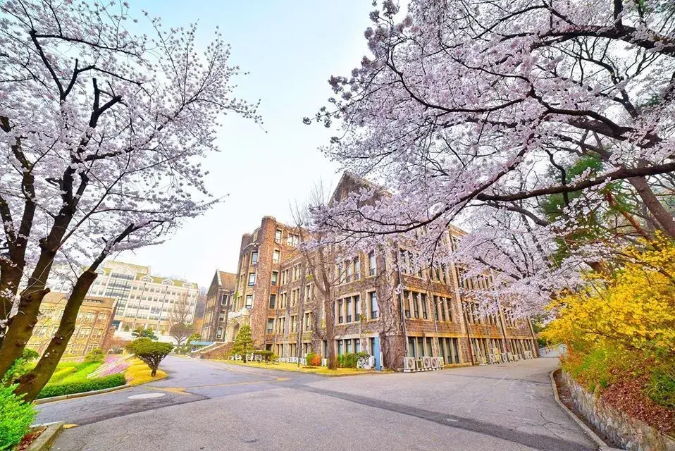 trường đại học yonsei hàn quốc – 연세대학교