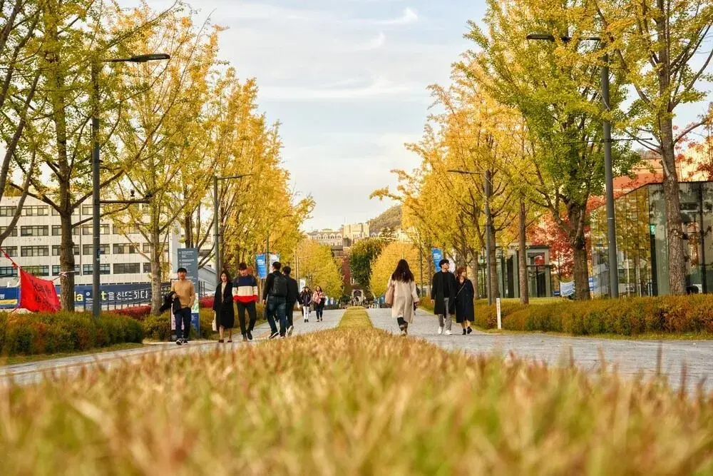 trường đại học yonsei hàn quốc – 연세대학교