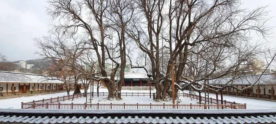 trường đại học sungkyunkwan hàn quốc – 성균관대학교