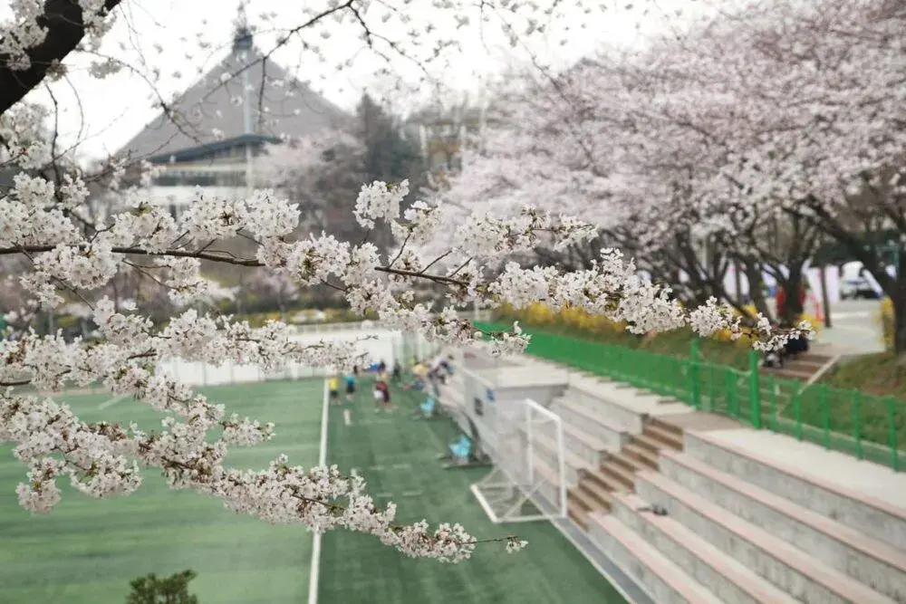 trường đại học ajou hàn quốc (아주대학교)