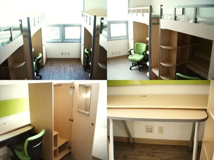 trường đại học hannam hàn quốc – 한남대학교