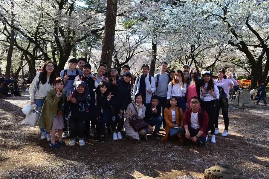 các trường liên kết