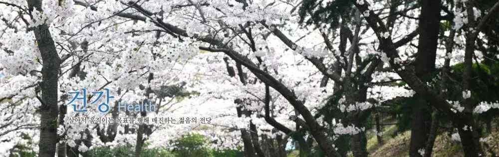 đại học dongeui hàn quốc – 동의대학교