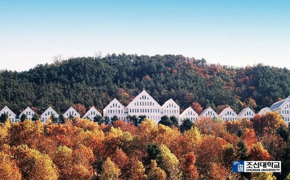 du-hoc-han-quoc-dai-hoc-chosun-cung-zila