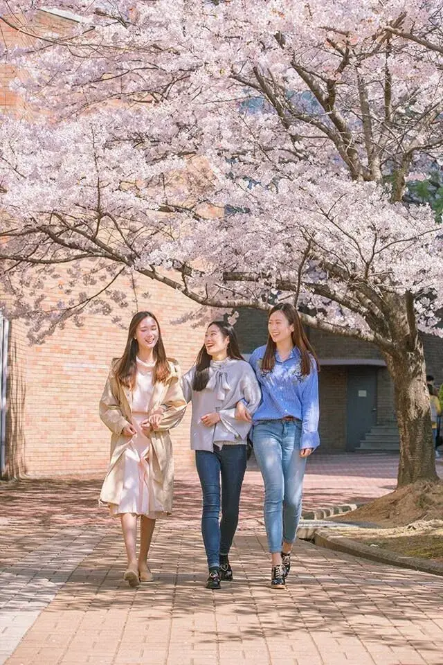 trường đại học kyungsung hàn quốc (경성대학교)