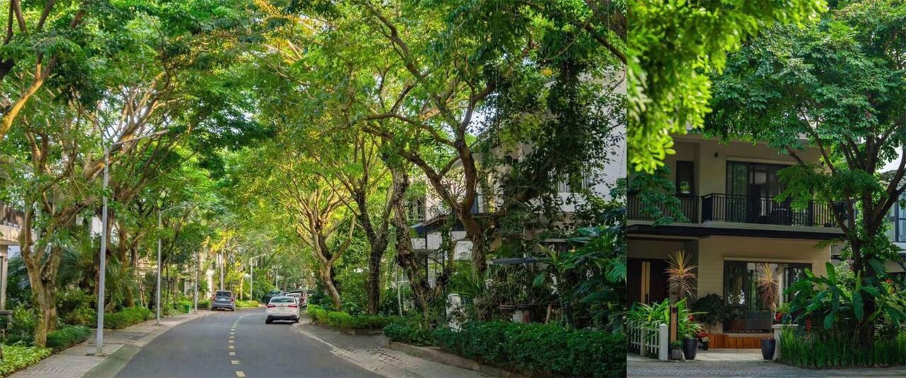 Eco Retreat - Ecopark